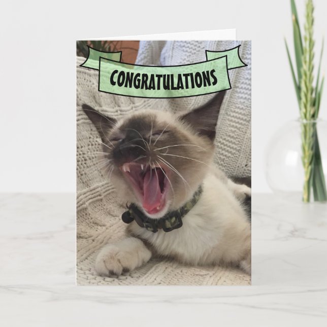 Tarjeta Bastante felicitaciones gritando foto de gatito si (Anverso)