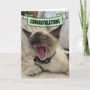 Tarjeta Bastante felicitaciones gritando foto de gatito si