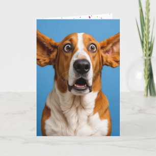 Tarjeta Bastante Hound sorprendido cumpleaños