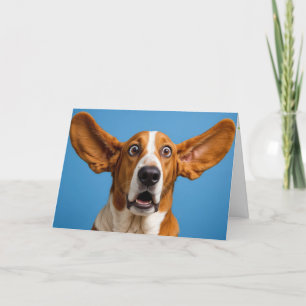 Tarjeta Bastante Hound sorprendido cumpleaños