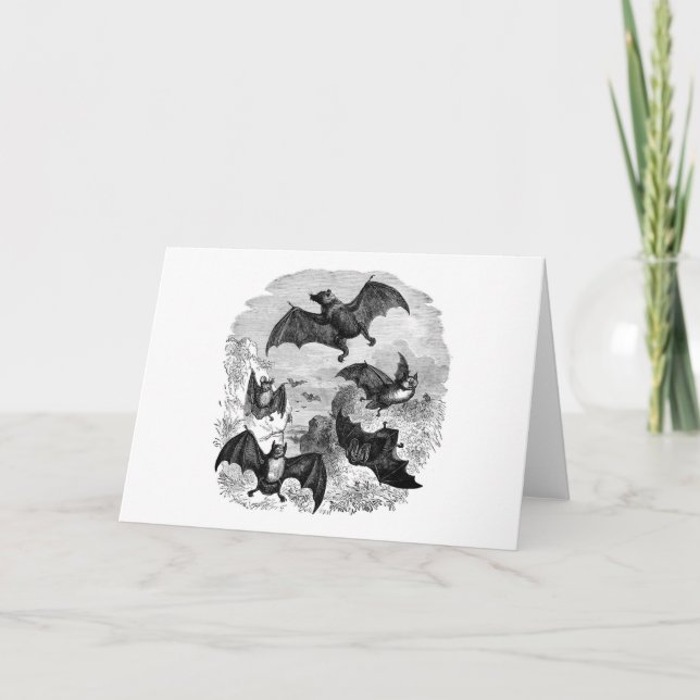 Tarjeta Bat Sketch (Anverso)