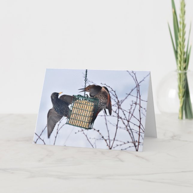 Tarjeta ¡Batalla entre el parpadeo del norte y la estafa! (Anverso)