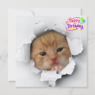 Tarjeta Batito lindo