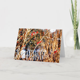 Tarjeta Baya Notecards del invierno