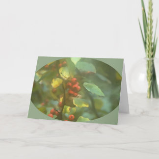 Tarjeta Bayas 02