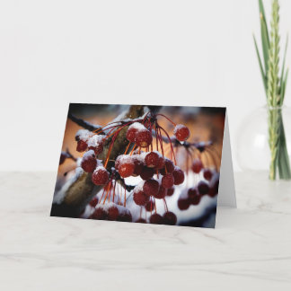 Tarjeta Bayas congeladas