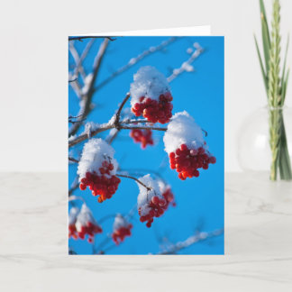 Tarjeta Bayas de serbal nevadas