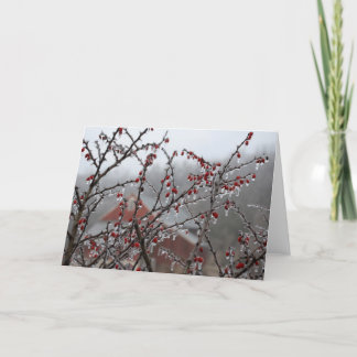 Tarjeta Bayas del hielo