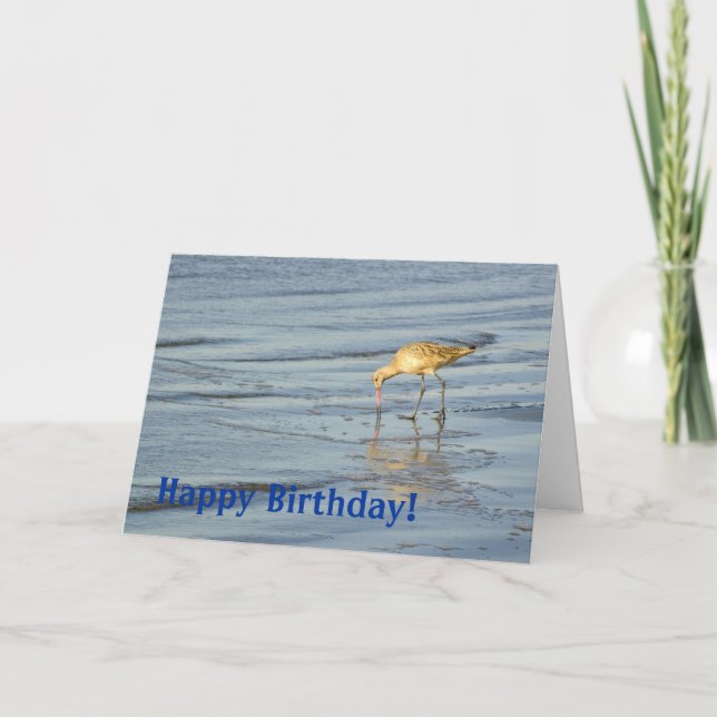 Tarjeta Beach Bird Happy Birday 3 (Anverso)