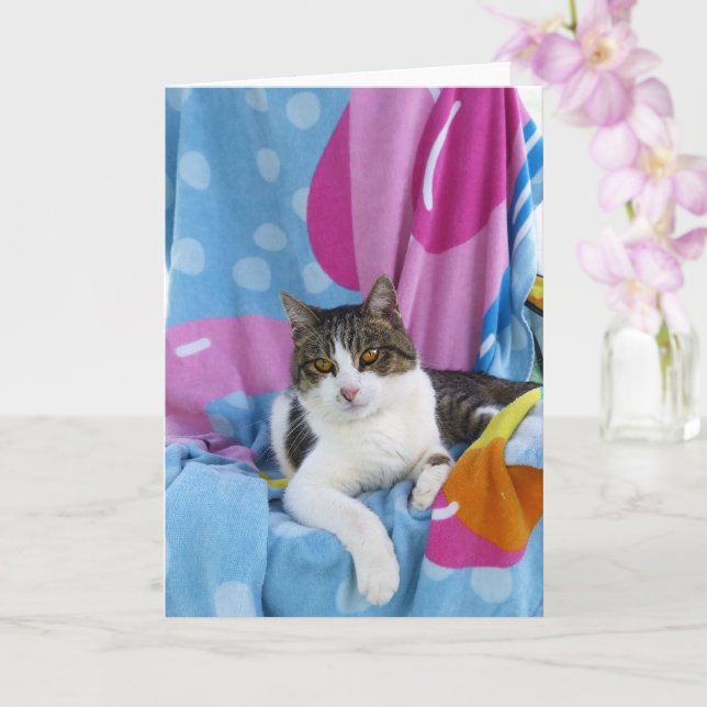 Tarjeta Beach Blanket Cutie (Orquídea)