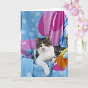 Tarjeta Beach Blanket Cutie