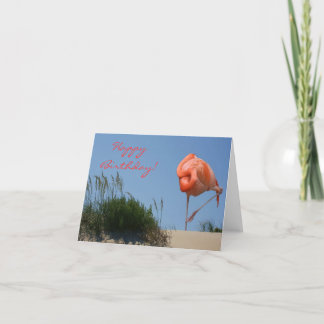 Tarjeta Beach Flamingo Happy Birday Card