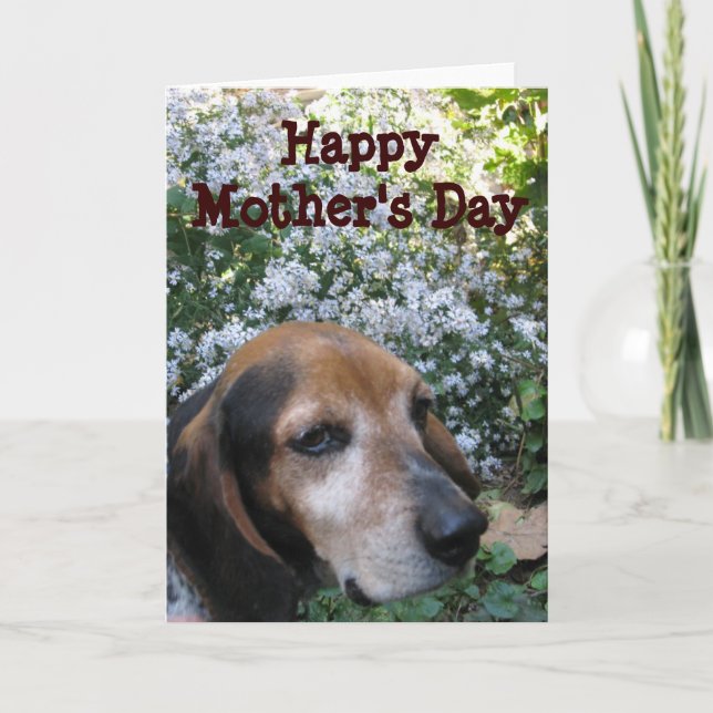 Tarjeta Beagle (Anverso)