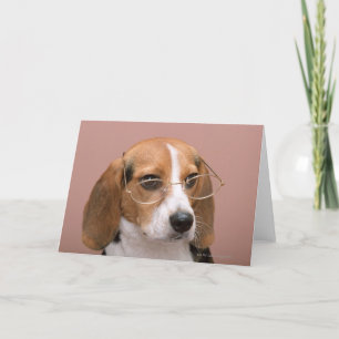 Tarjeta Beagle
