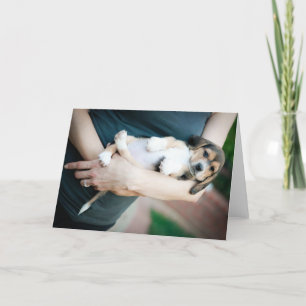Tarjeta Beagle Babe En Los Brazos