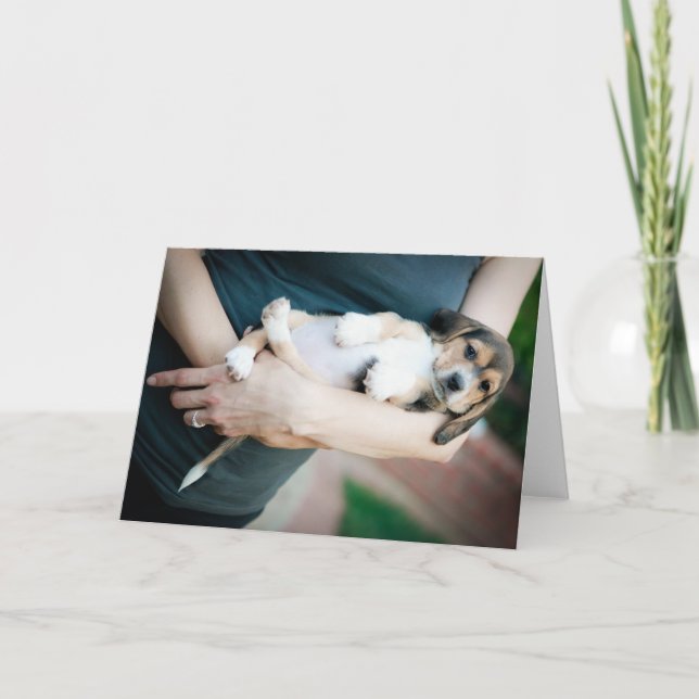 Tarjeta Beagle Babe En Los Brazos (Anverso)