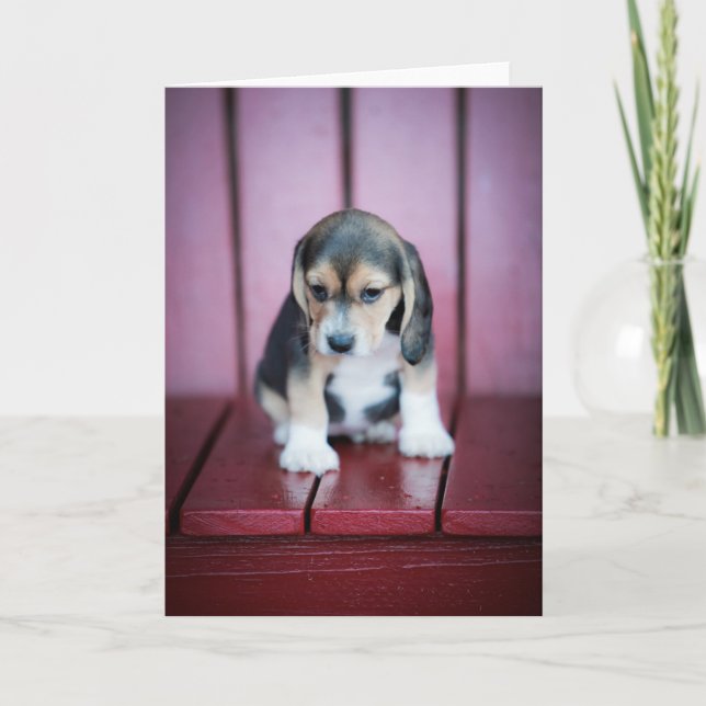 Tarjeta Beagle bebé con silla roja (Anverso)