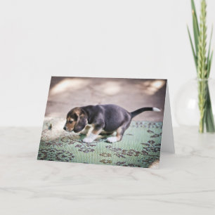 Tarjeta Beagle bebé y hoja