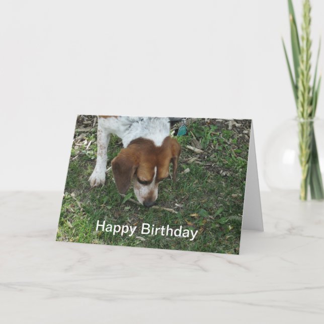 Tarjeta Beagle Birthday Card (Anverso)