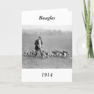 Tarjeta Beagle Club, 1914