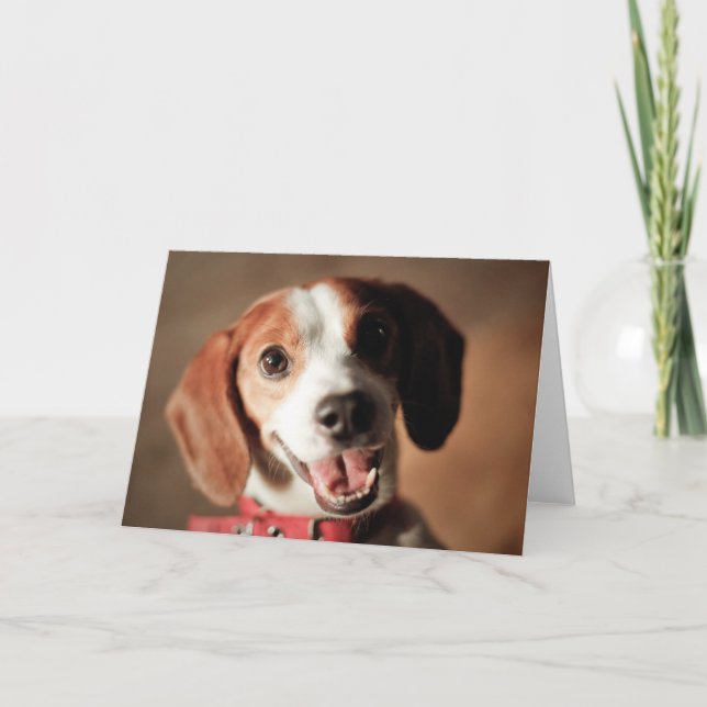Tarjeta Beagle Freedom (Anverso)