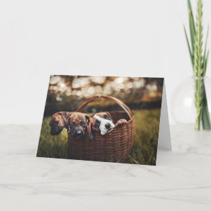 Tarjeta Beagle Hound Lover Perro cachorros perro pensando 