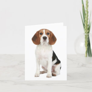 Tarjeta Beagle Puppy Dog Blank Note Card