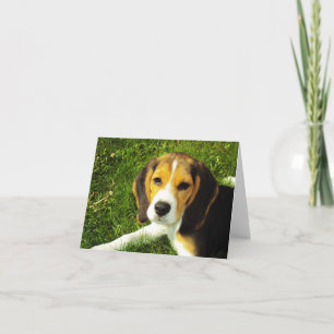 Tarjeta Beagle Puppy Note Card