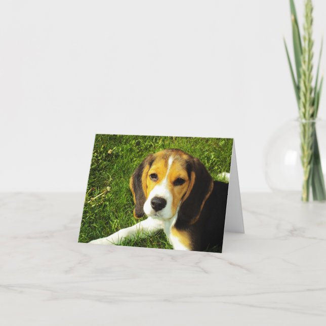 Tarjeta Beagle Puppy Note Card (Anverso)