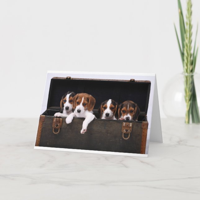 Tarjeta Beagles (Anverso)