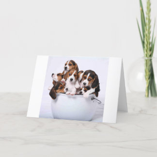 Tarjeta Beagles en cubo