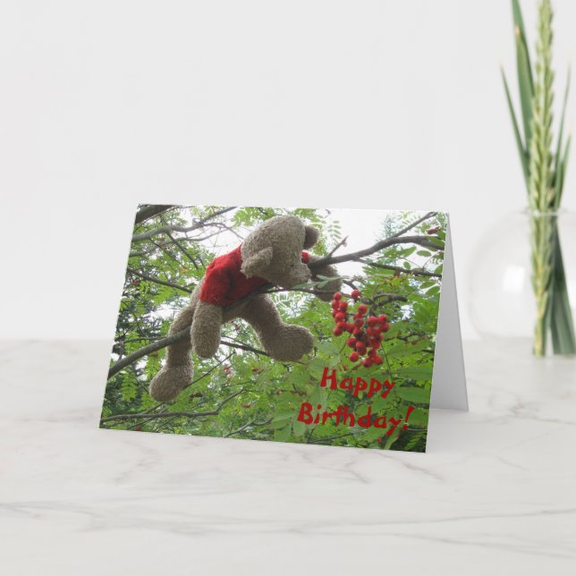 Tarjeta ¡Bear Berries, feliz cumpleaños! (Anverso)