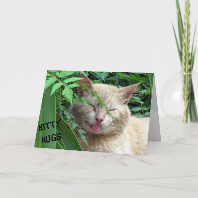 Tarjeta Beast's Kitty Hugs Birthday Card (Anverso)