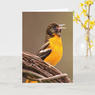 Tarjeta Beat Cancer Oriole