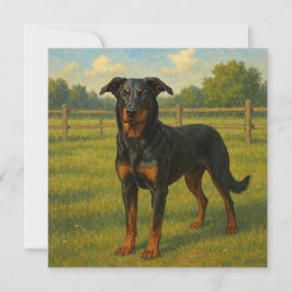 Tarjeta Beauceron