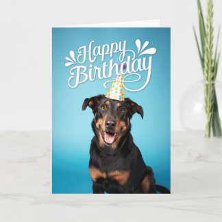 Tarjeta Beauceron Dog Happy Birday
