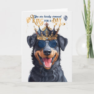 Tarjeta Beauceron Dog King por día cumpleaños divertido