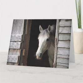 Tarjeta Beautiful Gray Mare Horse Rustic Ranch