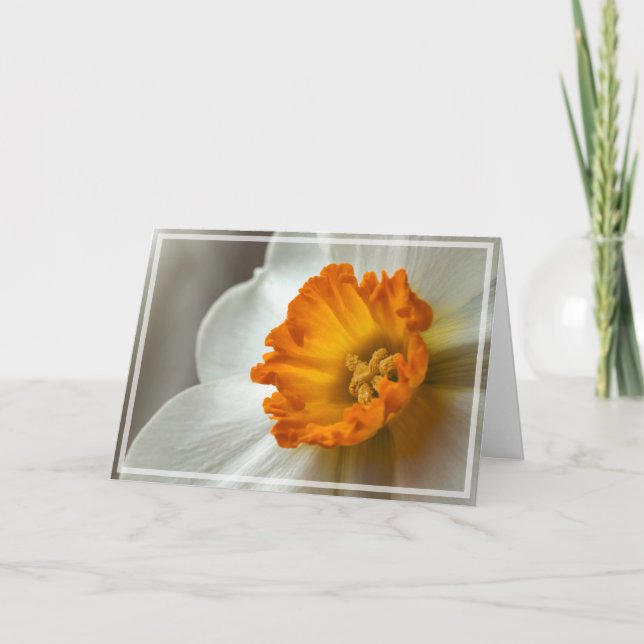 Tarjeta Beautiful Narcissus Bloom Macro (Anverso)