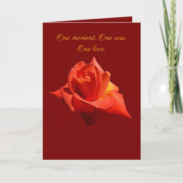 Tarjeta Beautiful Red Rose Isolated Photograph Vector (Anverso)