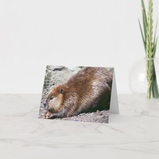 Tarjeta Beaver (Anverso)