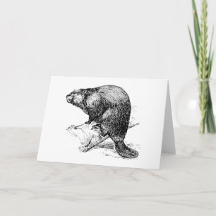 Tarjeta Beaver #1