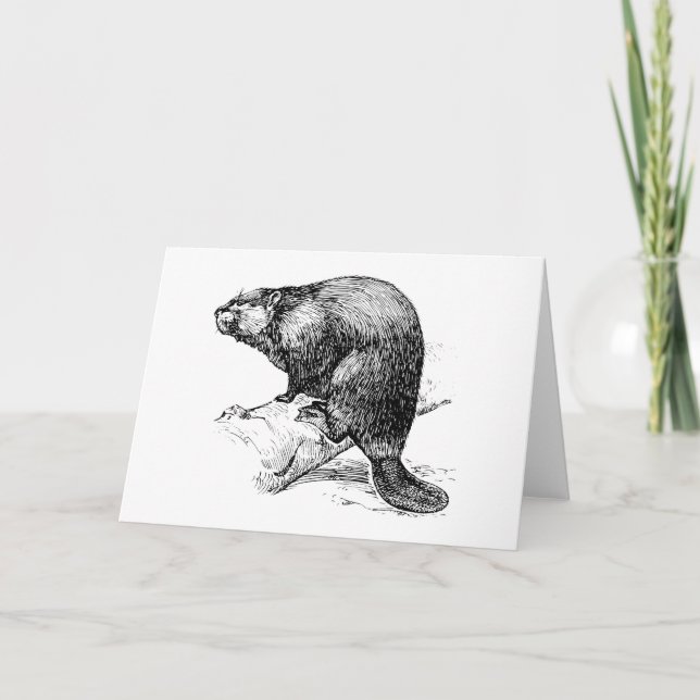 Tarjeta Beaver #1 (Anverso)