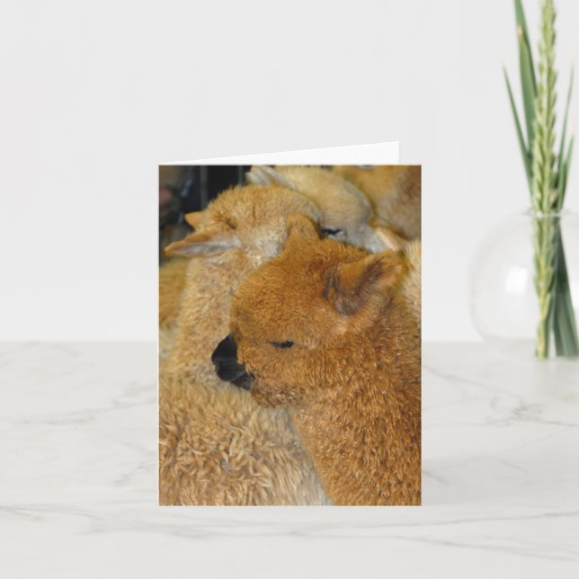 Tarjeta Bebé bonito (Anverso)