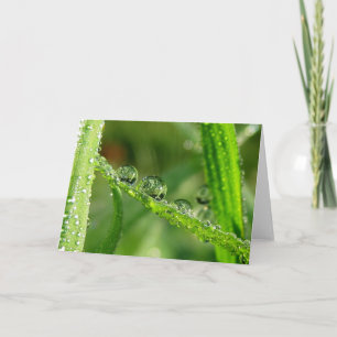 Tarjeta Bebé cae sobre poesía verde de la hierba