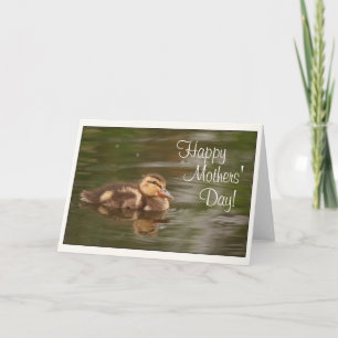 Tarjeta Bebé Ducklings Animales Día de la Madre de vida si