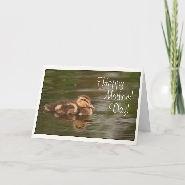 Tarjeta Bebé Ducklings Animales Día de la Madre de vida si (Anverso)