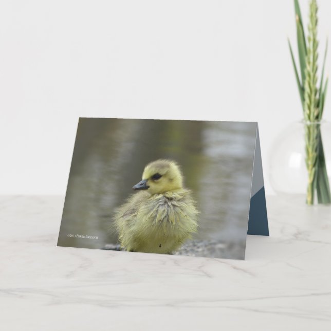 Tarjeta Bebé dulce (Anverso)