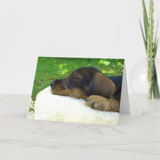 Tarjeta Bebé dulce - perrito lindo del Dachshund