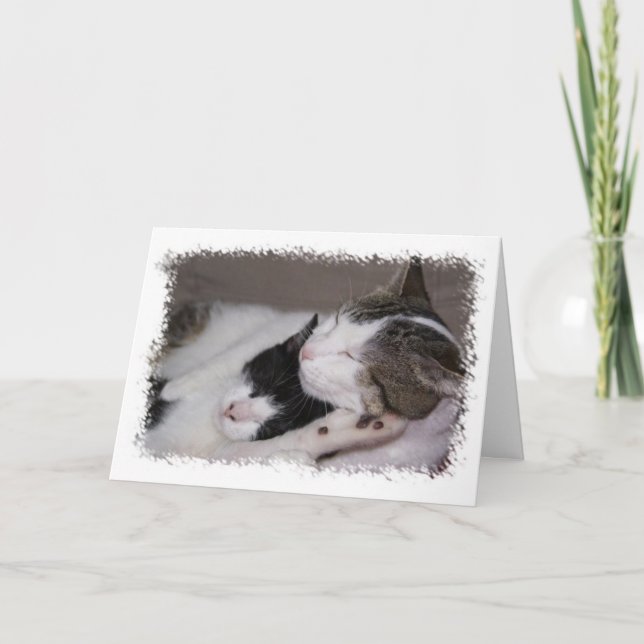 Tarjeta Bebé feliz cumpleaños con acurrucarse (Anverso)